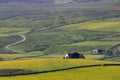 Barns in Upper Teesdale, County Durham