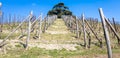 Barolo and Barbaresco countryside in Piedmont region, Italy. Vineyard with grapes cultivation for red wine. Unesco site Royalty Free Stock Photo