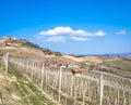 Barolo and Barbaresco countryside in Piedmont region, Italy. Vineyard with grapes cultivation for red wine. Unesco site