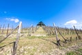 Barolo and Barbaresco countryside in Piedmont region, Italy. Vineyard with grapes cultivation for red wine. Unesco site