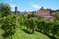 Barolo medieval castle and vineyards in Piedmont, Italy Royalty Free Stock Photo
