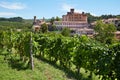 Barolo medieval castle and vineyards in Piedmont, blue sky in Italy Royalty Free Stock Photo