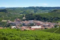 Barolo medieval town in Italy, high angle view in a sunny day Royalty Free Stock Photo