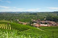 Barolo medieval town in Piedmont with vineyards, Italy Royalty Free Stock Photo