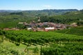 Barolo medieval town in Piedmont with vineyards in Italy Royalty Free Stock Photo