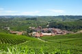 Barolo medieval town surrounded by vineyards in Italy Royalty Free Stock Photo