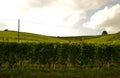 Barolo, Piedmont, Italy. July 2018. From the castle you have magnificent views of the surrounding countryside Royalty Free Stock Photo