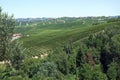 Barolo, Piedmont/Italy-View on the Langhe vineyards from the Barolo castle Royalty Free Stock Photo