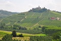 Barolo wine Alba Piedmont Italy Royalty Free Stock Photo
