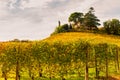 Barolo wine region, Langhe, Piedmont, Italy Royalty Free Stock Photo