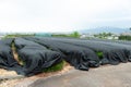 Baron Screen - Screen for shading: Used in tea plantations to protect the leaves against the winds and strong sunlight.