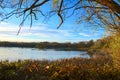 Barons Haugh bird sanctuary, Motherwell