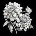 Baroque-inspired Dahlia Flower And Leaves Illustration