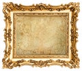 Baroque style golden picture frame with canvas Royalty Free Stock Photo