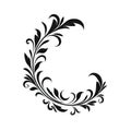 Baroque Victorian Frame Ornament, Floral Border, Baroque Decoration Element, Twin Icon, Filigree Flourish