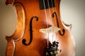 Baroque Violin - White background Royalty Free Stock Photo