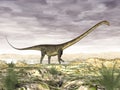Barosaurus dinosaur in the desert - 3D render
