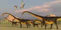 Barosaurus Dinosaur Herd