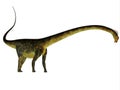 Barosaurus Dinosaur Side Profile