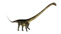 Barosaurus dinosaur walk - 3D render Royalty Free Stock Photo