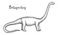 Barosaurus sketch or engraved Diplodocus dinosaur vector