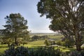 The Barossa Valley