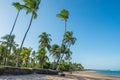 Impressive paradise beach at the Itacare Bahia Brazil