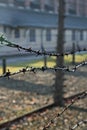 Barracks at Auschwitz - Birkenau concentration camp Royalty Free Stock Photo