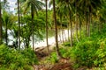 Barracuda beach on Kadidiri island. Indonesia Royalty Free Stock Photo