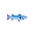 Barracuda fish flat icon Royalty Free Stock Photo