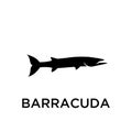 Barracuda fish logo icon designs illustration Royalty Free Stock Photo