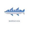 Barracuda, sea carnivorous fish geometric flat style design vector Illustration Royalty Free Stock Photo
