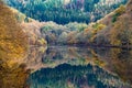 Barrage small Drohn in Leiwen. Germany with reflection of forest Royalty Free Stock Photo