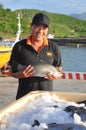 Barramundi fish are farmed in the Van Phong Bay and exported to the world market