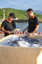 Barramundi fish are farmed in the Van Phong Bay and exported to the world market