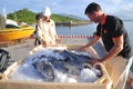 Barramundi fish are farmed in the Van Phong Bay and exported to the world market