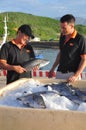 Barramundi fish are farmed in the Van Phong Bay and exported to the world market
