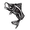 The Barramundi fish jump vector art design