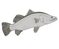 Barramundi fish vector isolated on a white background