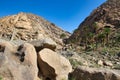 Barranco de las Penitas near Vega de Rio Palmas, Betancuria Rural Park, Fuerteventura, Canary Islands, Spain Royalty Free Stock Photo