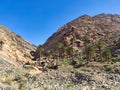 Barranco de las Penitas near Vega de Rio Palmas, Betancuria Rural Park, Fuerteventura, Canary Islands, Spain Royalty Free Stock Photo