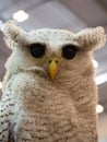 The barred eagle owl