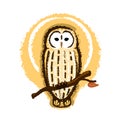 Barred Owl Illustration