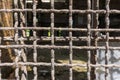 Barred window - closeup