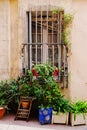 Barred window with many plants in Le Panier, Marseille, France