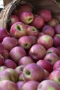Barrel of Apples Royalty Free Stock Photo