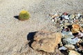 Barrel Cactus and Boulder in Xeriscaped Ground Royalty Free Stock Photo