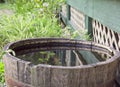 barrel collecting rainwater for watering plants surrounded by green foliage, quebec Royalty Free Stock Photo