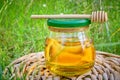 Barrel honey and spoon for honey in summer green grass