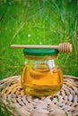 Barrel honey and spoon for honey in summer green grass